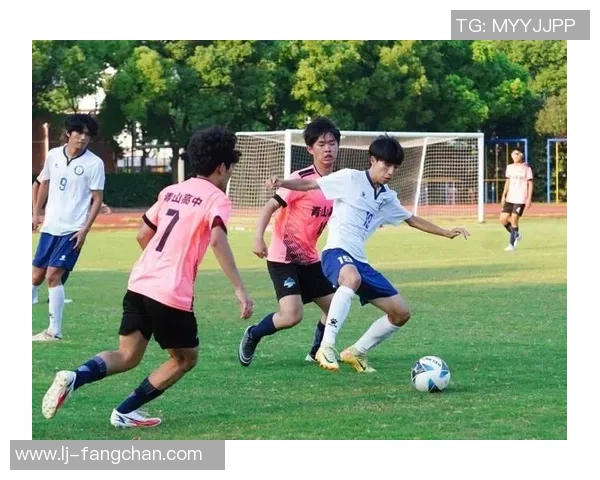 足球竞技的魅力与挑战探索球场上的激情与团队合作精神